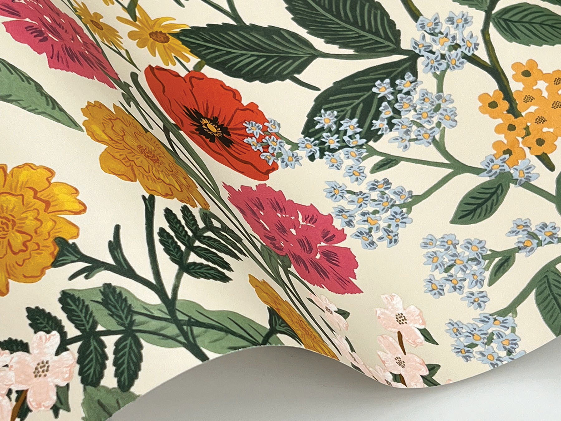 Blossom Cream Wallpaper large image 