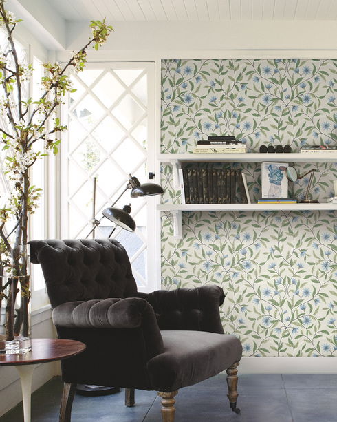 Cornflower Jasmine Wallpaper