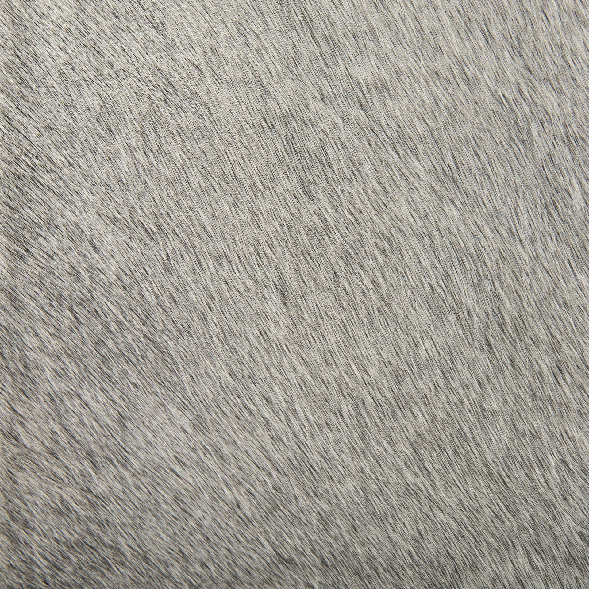 Millie 16.75 X 17.75 X 30 Hair-on-hide Seat with Gold Frame Bar Stool, Counter & Bar Stool by Mercana, 16.75" length x 17.75" width x 30" height View 5