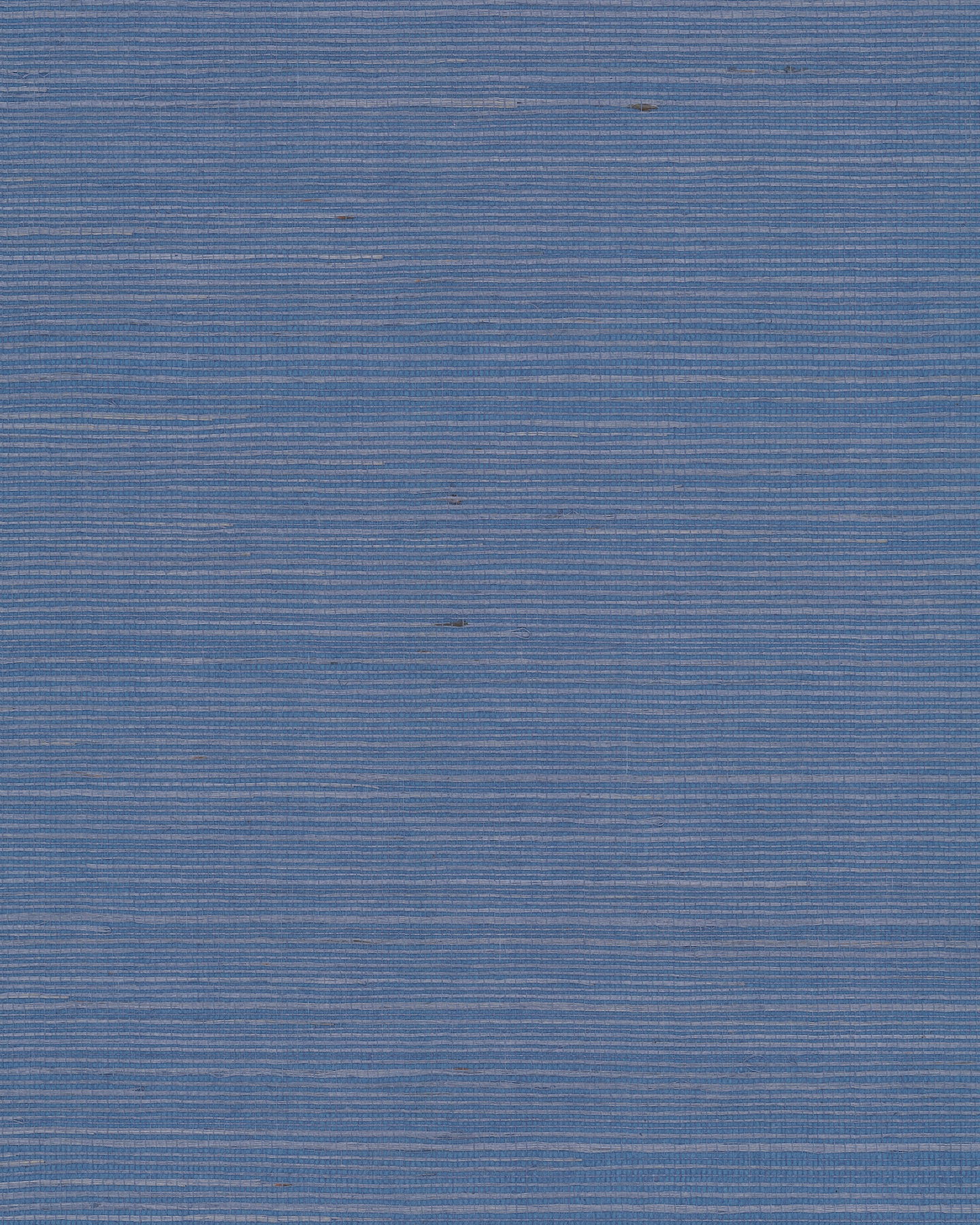 Maguey Sisal Bluebell Wallpaper large image 