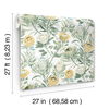 Protea White & Yellow Wallpaper 8 Protea White & Yellow Wallpaper thumbnail 8