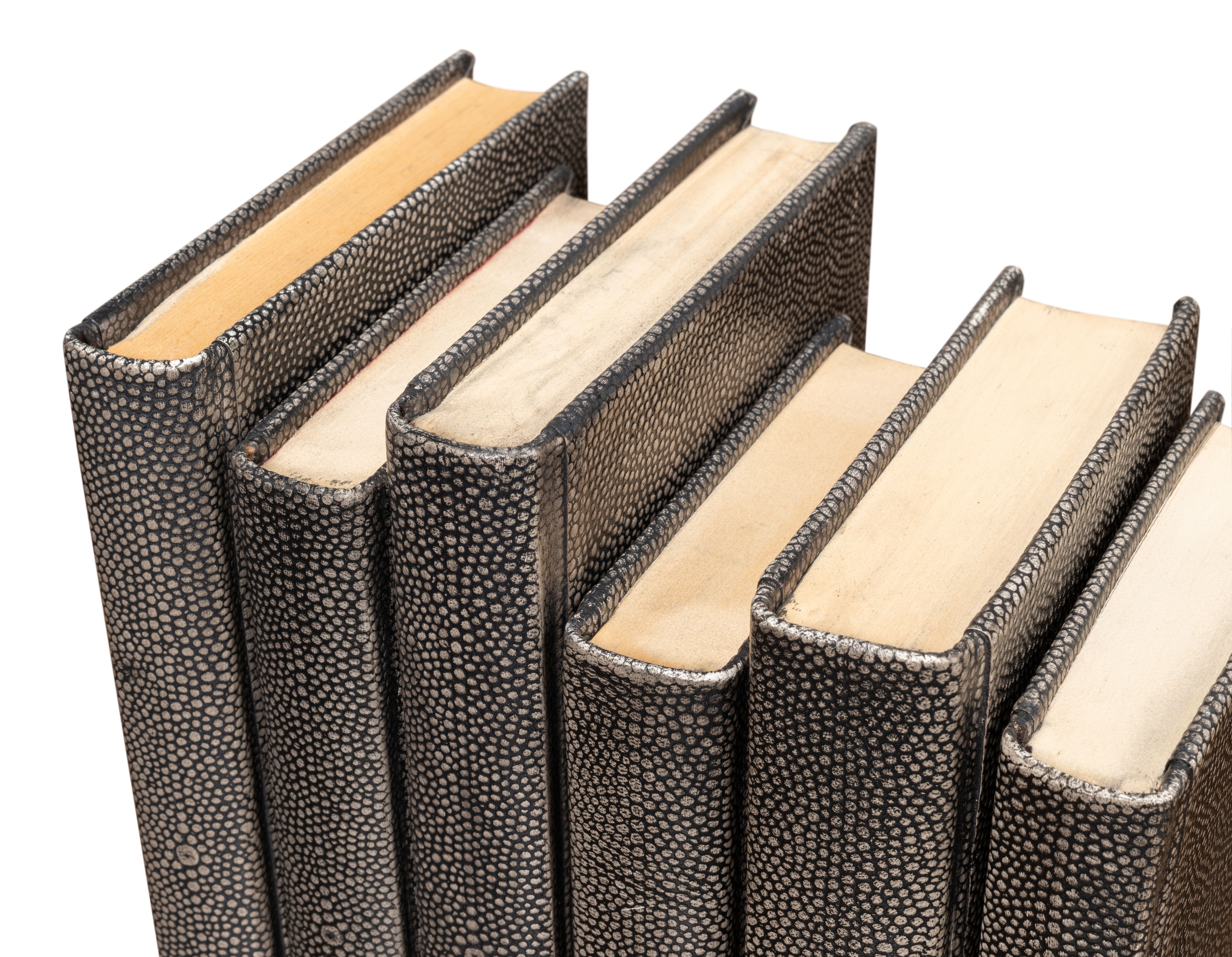 Shagreen Books, Set Of 12, Antique Grey large image 