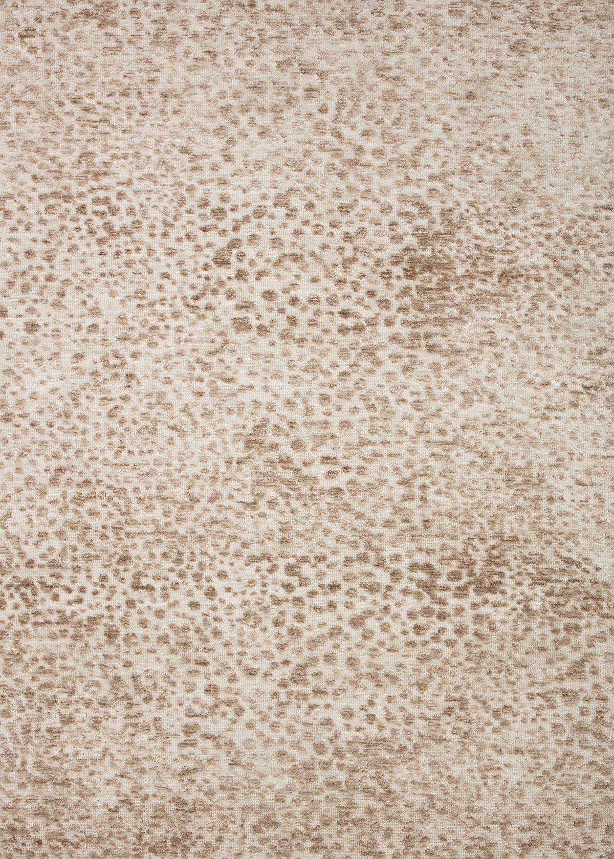 Loloi II Neda Rug, 5' length x 7'6" width View 1