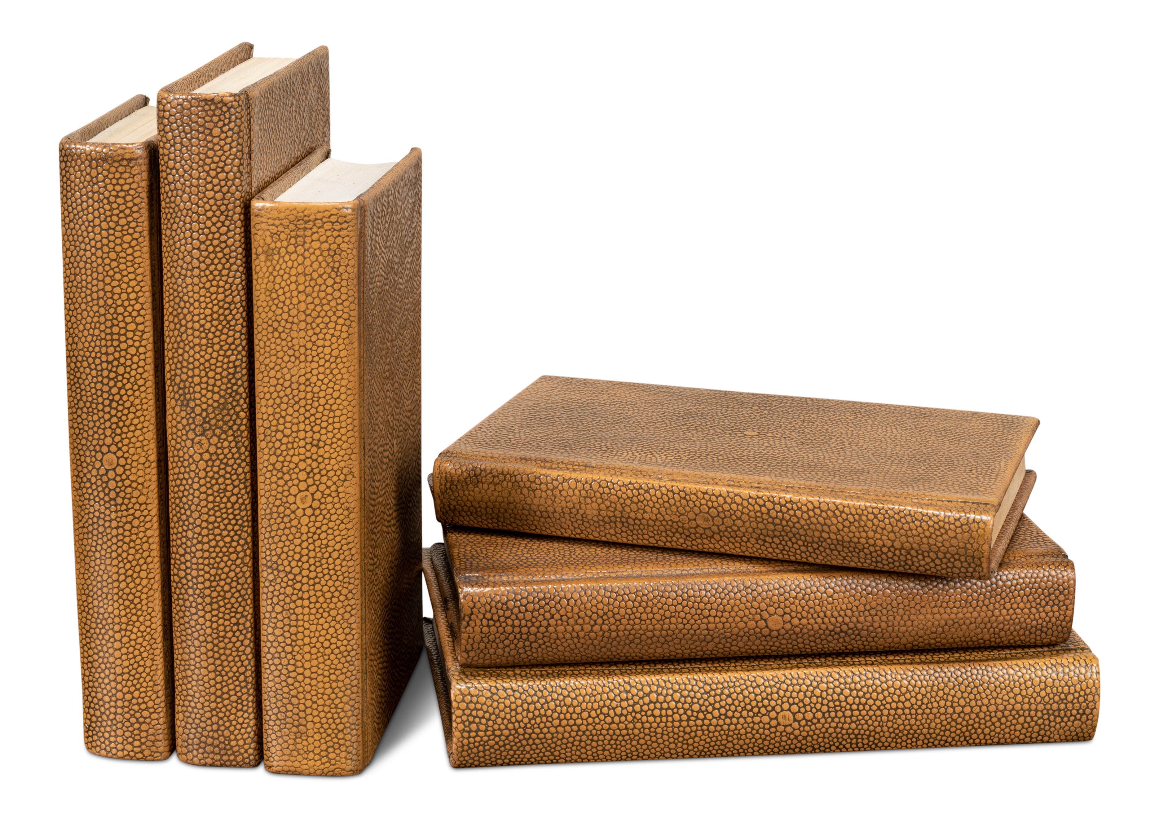 Shagreen Books  Set Of 12  Tawny Brown large image 