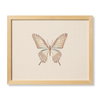 Loloi Butterfly Beige Wall Art, Wall Hanging, 12" length x 15" width thumbnail 1