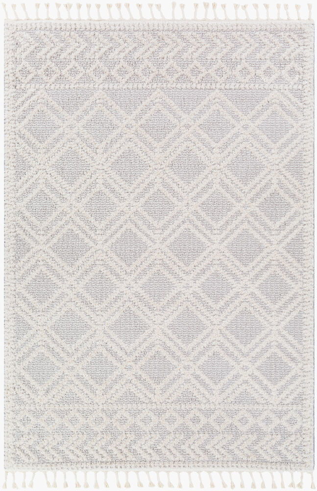Valencia Machine Woven Rug large image 