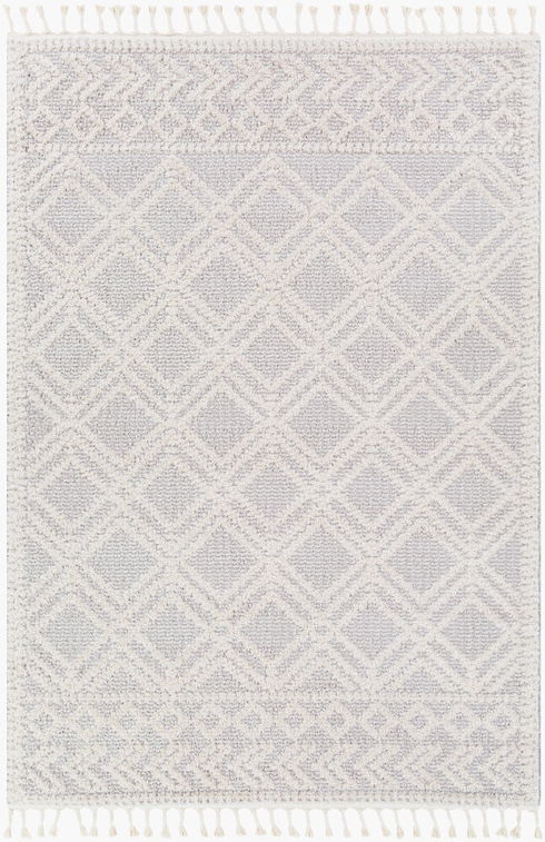 Valencia Machine Woven Rug