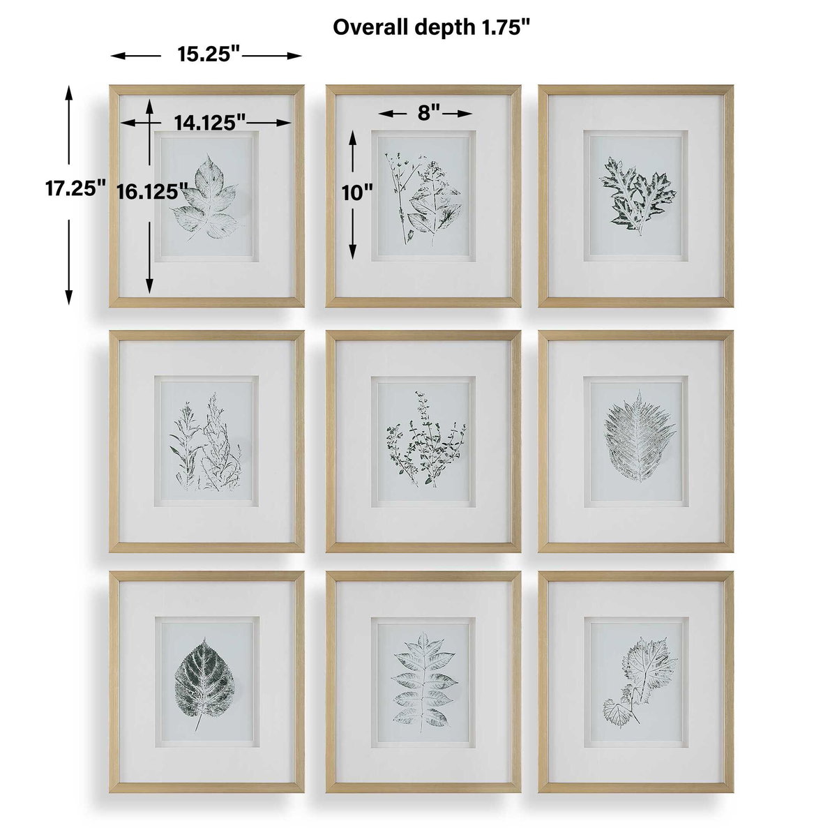 Nature's Script Framed Botanical Prints Set/9, Painting by Uttermost, 15.25" width x 17.25" height x 1.75" depth View 3