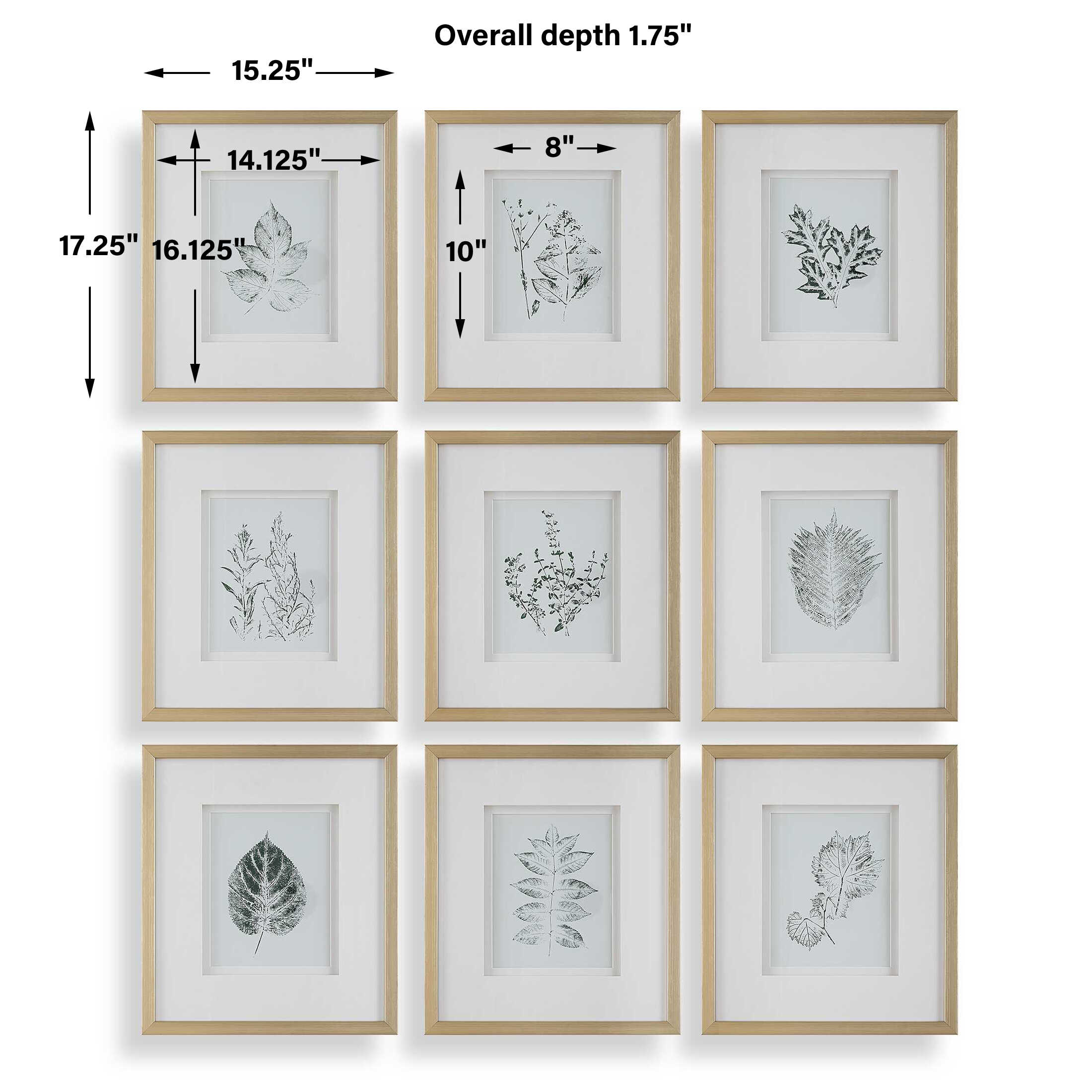 Nature's Script Framed Botanical Prints Set/9 large image 