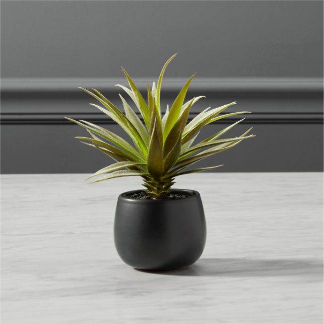 Online Designer Bedroom Faux Potted Succulent with Black Pot 7