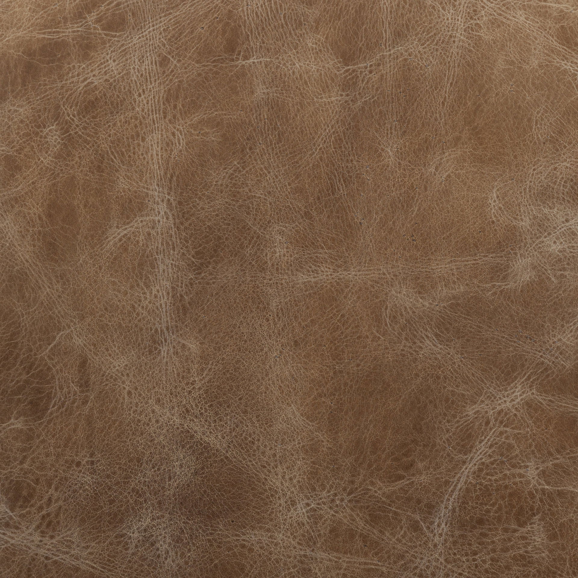 Cobain I 84' Brown Leather Two Seater Sofa large image 