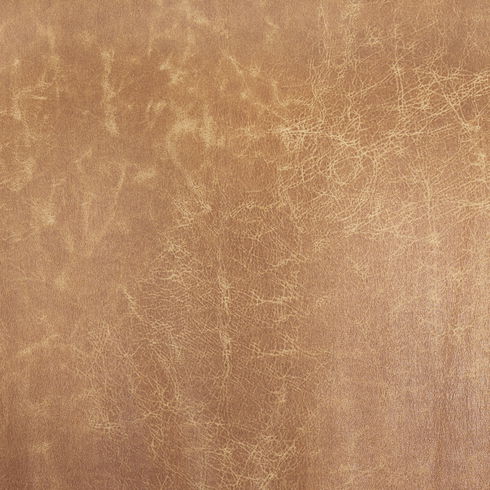 Westan Cognac Faux Leather with Medium Brown Wood Accent Chair