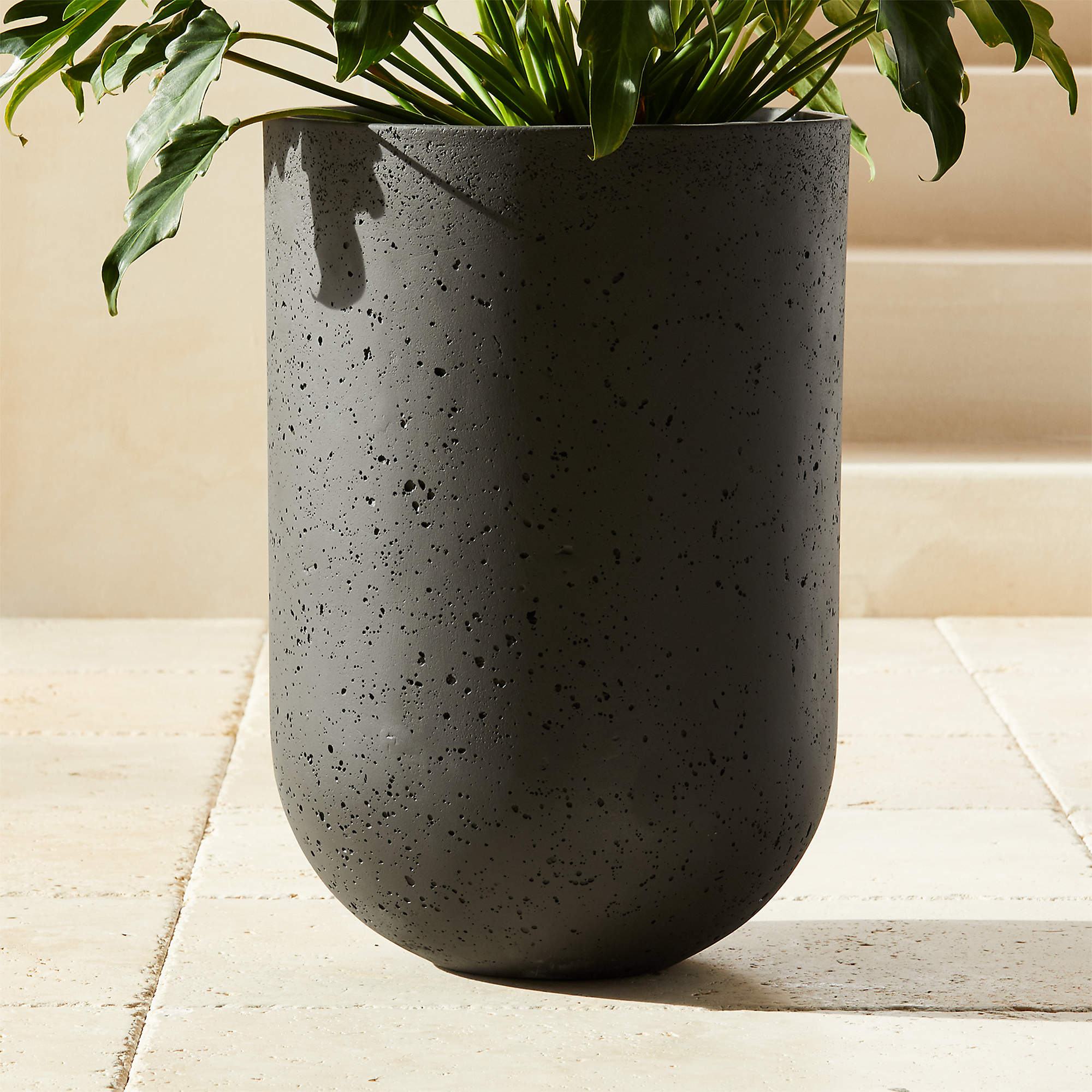 Online Designer Patio Seminyak Black Cement Indoor/Outdoor Planter Large