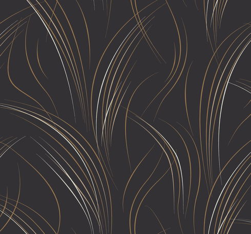 Graceful Wisp Black Wallpaper