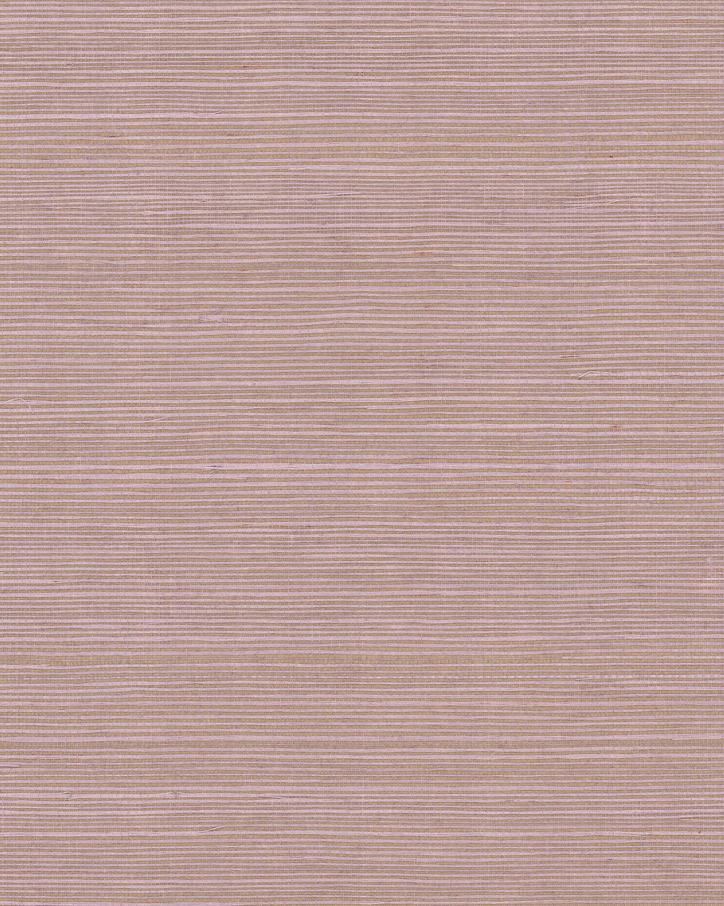 Maguey Sisal Orchid Wallpaper large image 