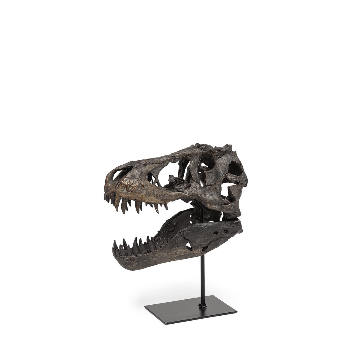 Jurassic 6L x 10W Brown Resin Tyrannosaurus Skull Replica, Decorative Object by Mercana, 6" length x 9.84" width x 11.81" height View 1