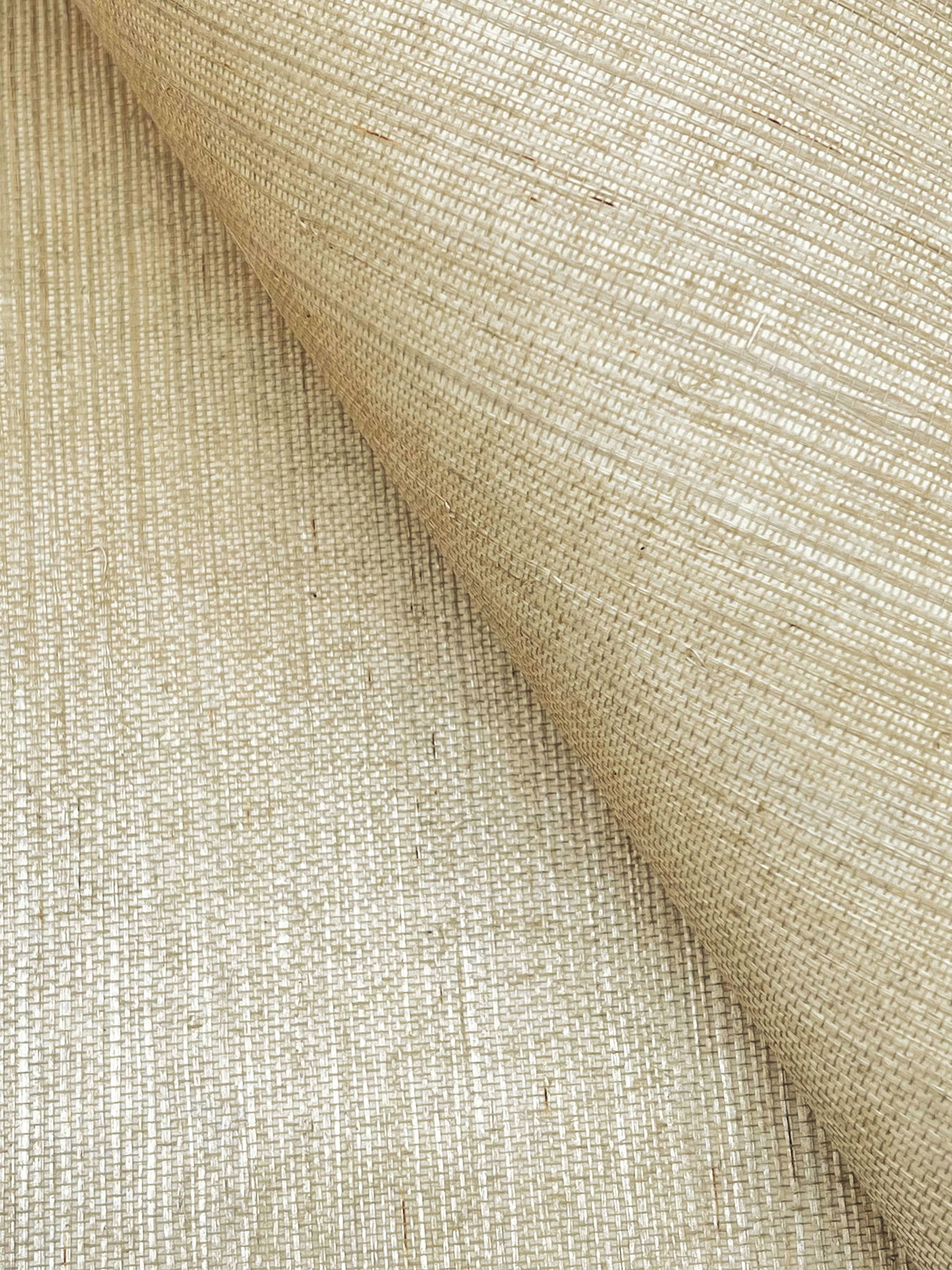 Maguey Sisal Hay Wallpaper large image 