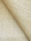 Maguey Sisal Hay Wallpaper thumbnail 2