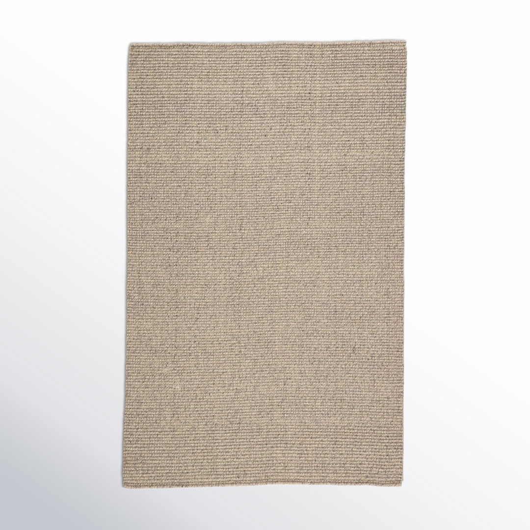 Chael Natural Solid Gray/ Beige Area Rug large image 