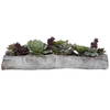 Charita Lush Succulents, Artificial Plants & Flower by Uttermost, 29.5" width x 10" height x 10" depth thumbnail 1