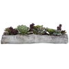 Charita Lush Succulents, Decorative by Uttermost, 29.5" width x 10" height x 10" depth thumbnail 1