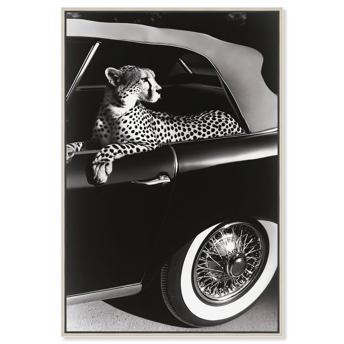 Convertible Feline I (No Embellishment), Art by Oliver Gal,  20x30 View 1