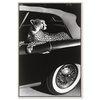 Convertible Feline I (No Embellishment), Art by Oliver Gal,  20x30 thumbnail 1