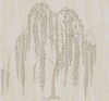 Willow Glow Light Taupe Wallpaper thumbnail 0