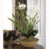 Moth Orchid Planter, Artificial Plants & Flower by Uttermost, 18.5" width x 33.5" height x 18.5" depth thumbnail 3