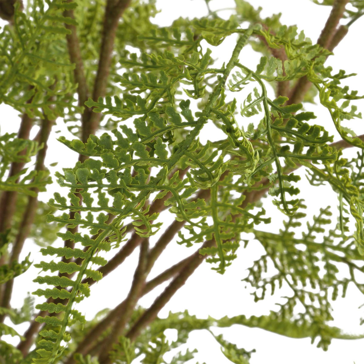 Woodland Fern Centerpiece, Artificial Plants & Flower by Uttermost, 27.5" width x 23.75" height x 27.5" depth View 4