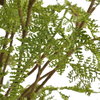 Woodland Fern Centerpiece, Artificial Plants & Flower by Uttermost, 27.5" width x 23.75" height x 27.5" depth thumbnail 4