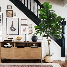 Online Designer Bedroom 70'' Faux Fiddle Leaf Fig Tree in Pot