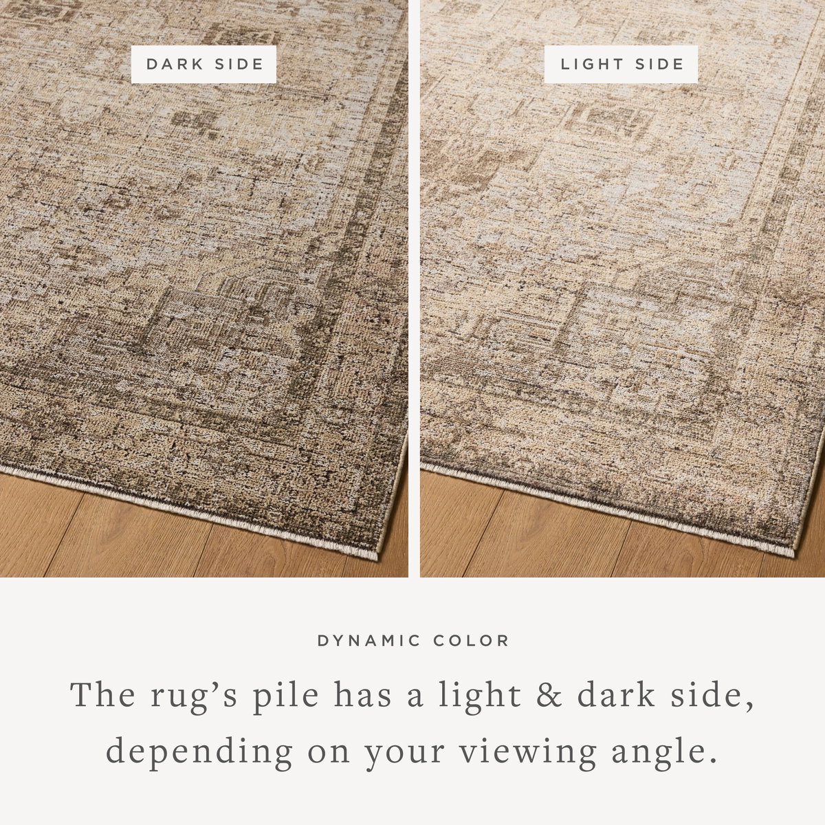 Loloi Priscilla Rug, 2'6" length x 7'6" width View 3