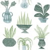 Plant Party Green Peel & Stick Wallpaper, by York Wall, 20' length x 1'8.5" width x 0.02" depth thumbnail