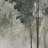 Potter thumbnail 2