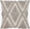 Anders Accent Pillow, Decorative Pillow by Surya, 18" length x 18" width thumbnail