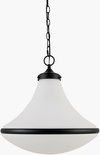 Colleen Pendant, by Surya, 17" length x 17" width x 17" height thumbnail
