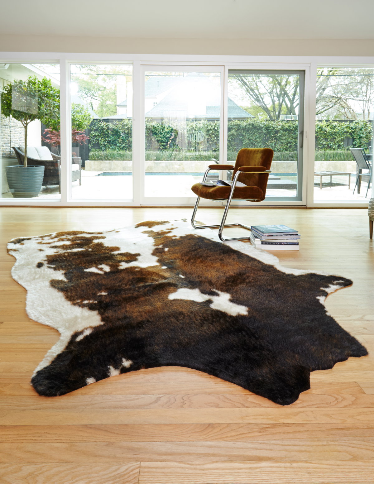 Loloi Grand Canyon Rug, 5' length x 6'6" width View 5