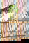Beakman Low Bookcase thumbnail 5