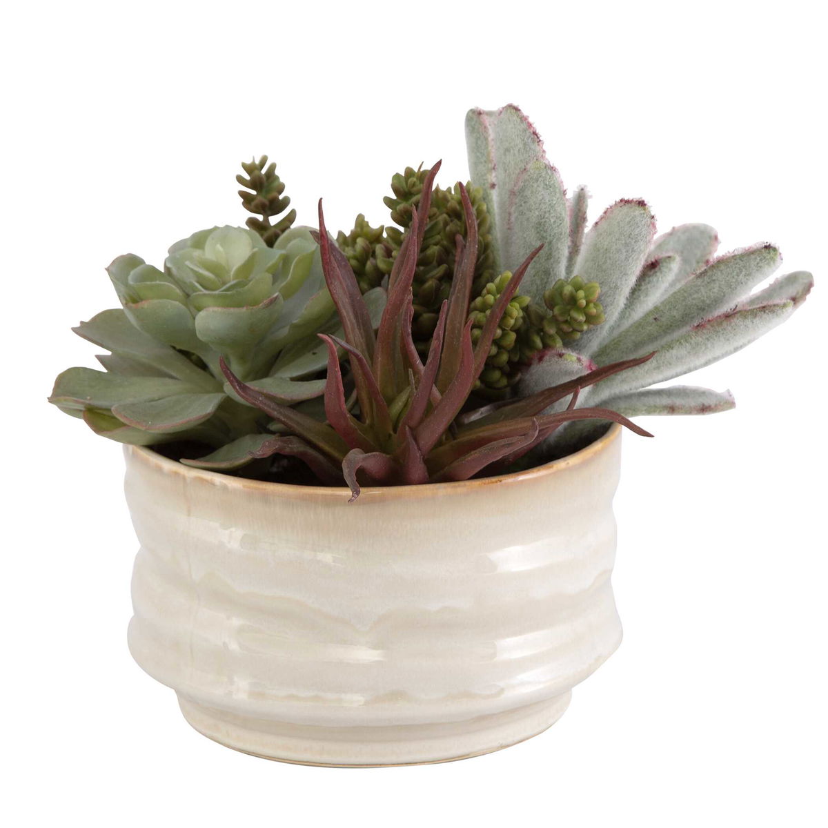 Mesa Succulent Accent, Artificial Plants & Flower by Uttermost, 9.5" width x 8.5" height x 9.5" depth View 4