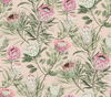 Protea Blush Wallpaper thumbnail 0
