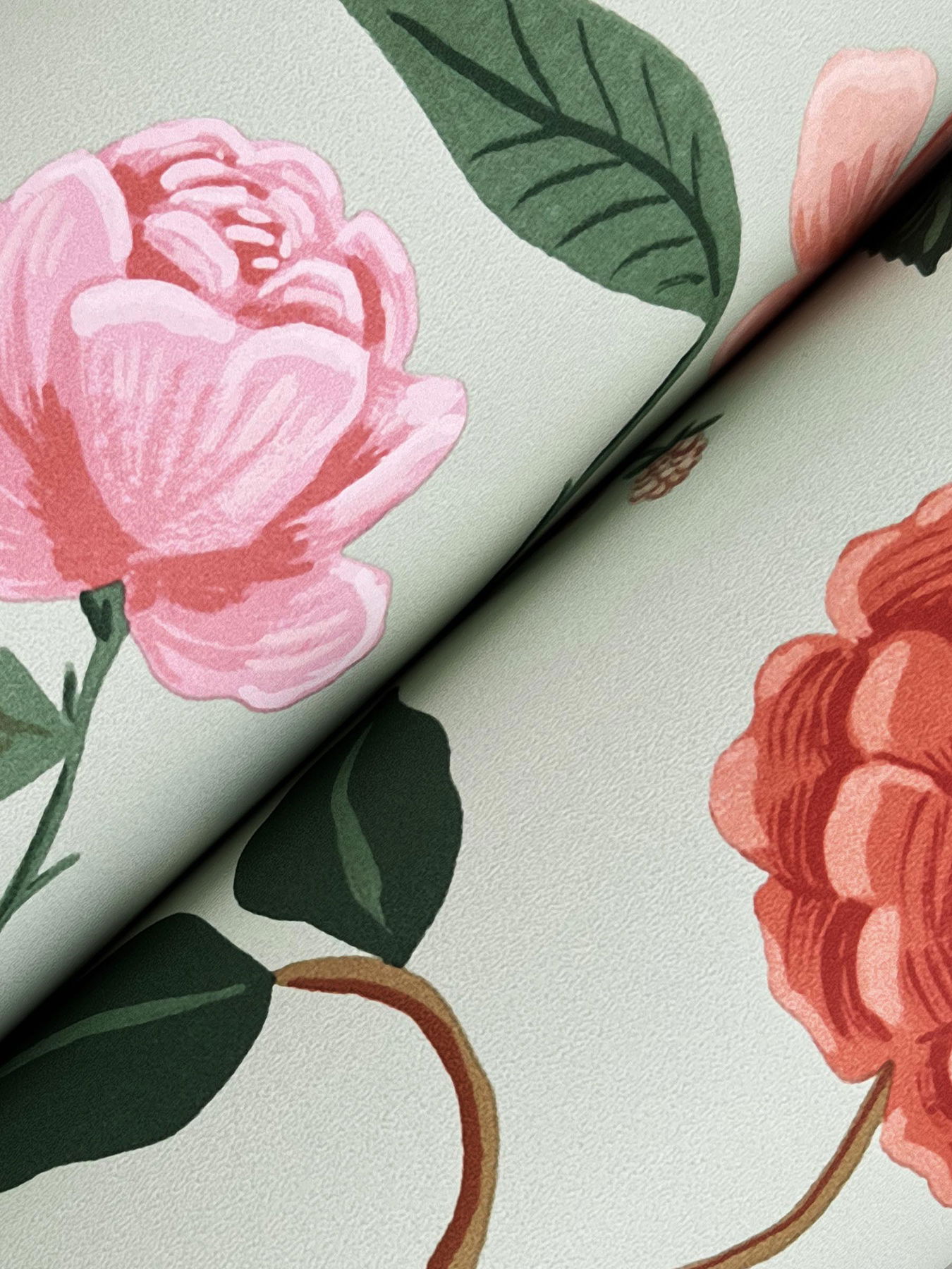 Roses Mint Wallpaper large image 