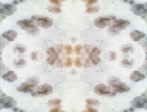 Leopard Appaloosa Off White Peel & Stick Wallpaper