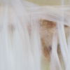 Bonnet thumbnail 2