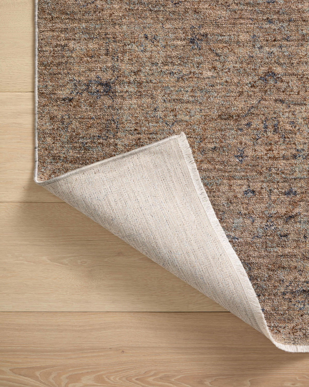 Angela Rose x Loloi Blake Rug, 5'3" length x 5'3" width View 9