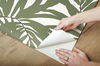 Bali Leaves Green Peel & Stick Wallpaper thumbnail 5