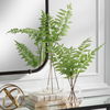 Country Ferns Set/2 thumbnail 1
