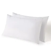 Online Designer Bedroom Sarthe Plush Pillow (Set of 2)