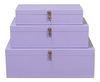 Cosmos Nesting Boxes,S/3,Lilac thumbnail 1
