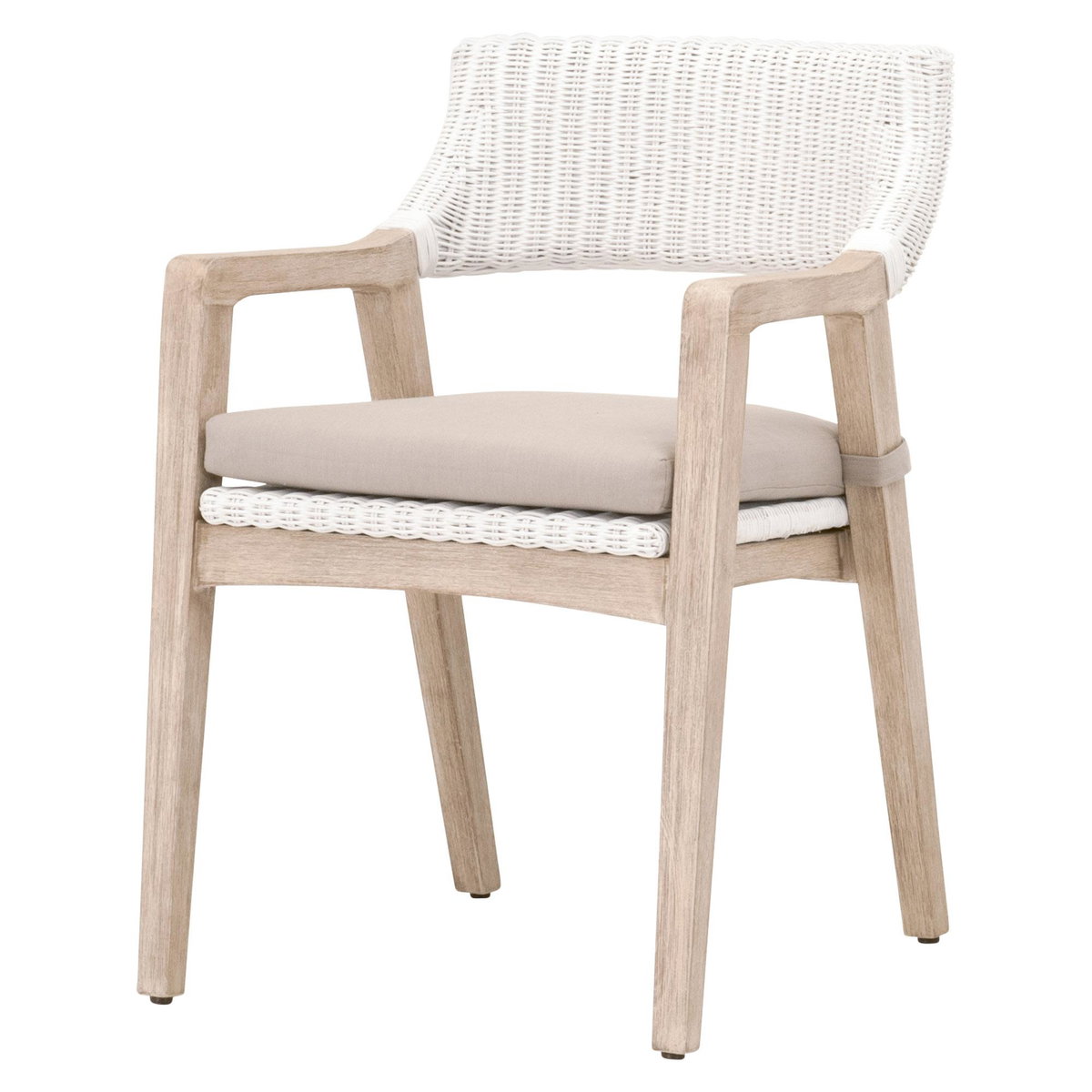 Lucia Arm Chair, Dining Chair by Essentials for Living, 22" width x 31.5" height x 24" depth View 2